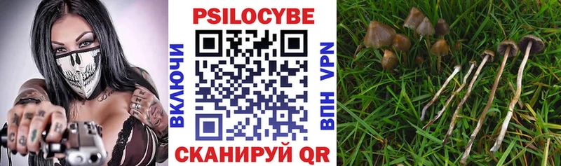 Галлюциногенные грибы Psilocybe  Купить  Дятьково 